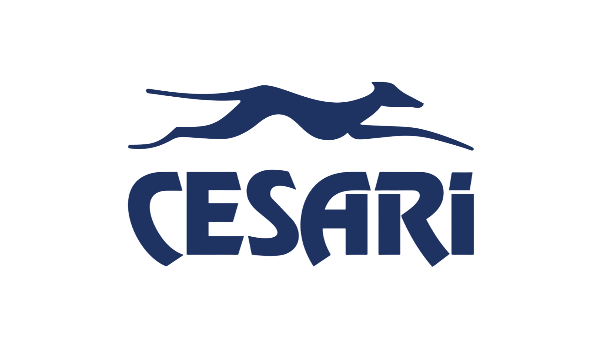 Empresa de criação de sites